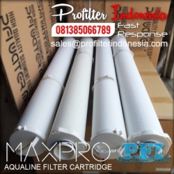 Max Pro Aqualine Filter Cartridge Indonesia  large
